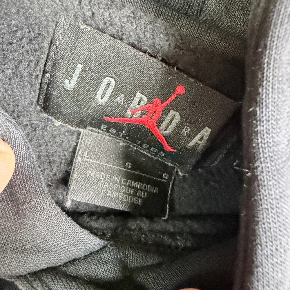 Jordan Black Cat Panther Graphic Pullover Hoodie Black FJ5544-010 Large